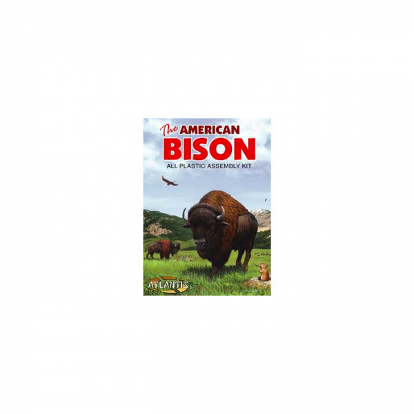 1/16 American Bison