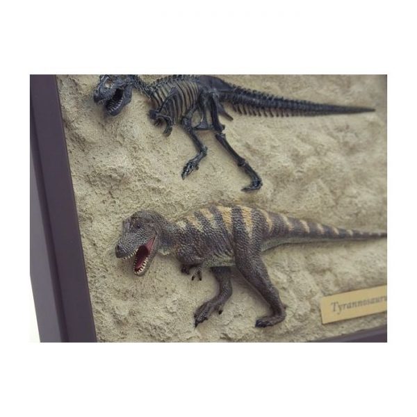 Tyrannosaurus Skeleton Board