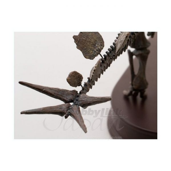 Stegosaurus Skeleton Model