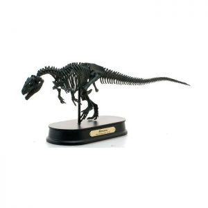 Allosaurus Skeleton Model
