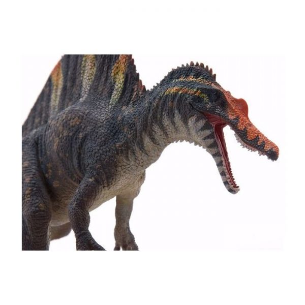 1/40 Spinosaurus Desktop Model