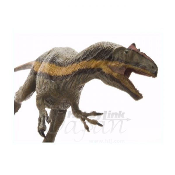 Allosaurus Trcic Model