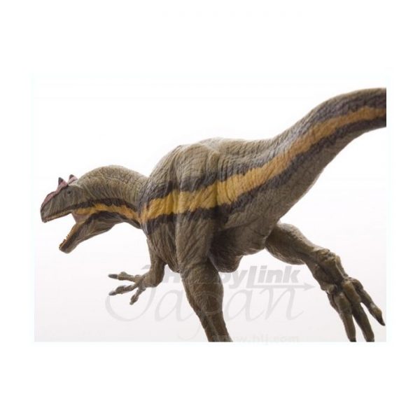 Allosaurus Trcic Model