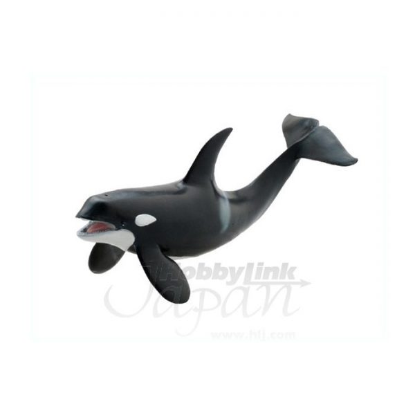 Great Killer Whale Soft Model