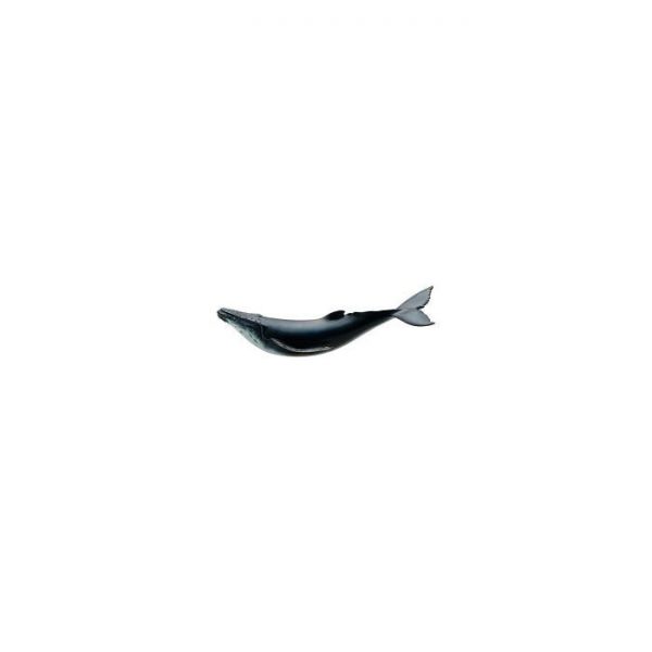 Humpback Whale Soft Model
