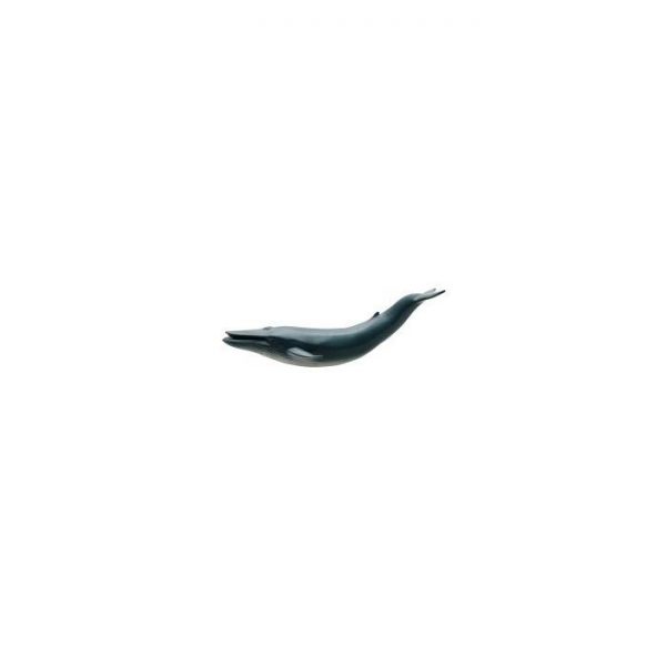 Blue Whale Soft Model