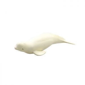 Beluga Dolphin Soft Model