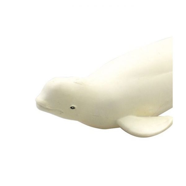 Beluga Dolphin Soft Model