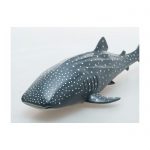 Whale Shark Vinyl Model