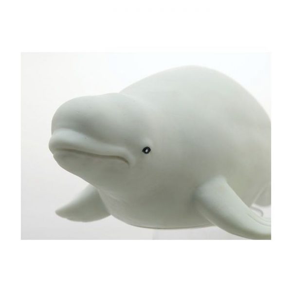 Beluga Dolphin Vinyl Model