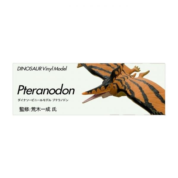 Pteranodon Vinyl Model