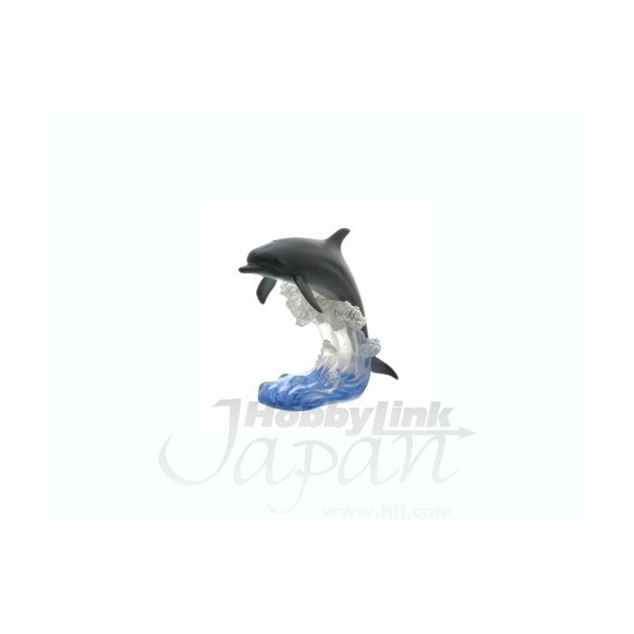 Bottlenose Dolphin - The Jump -