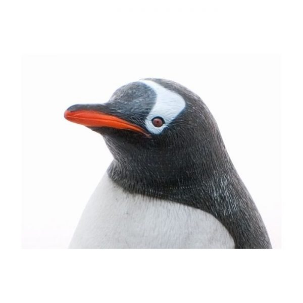 Gentoo Penguin Vinyl Model