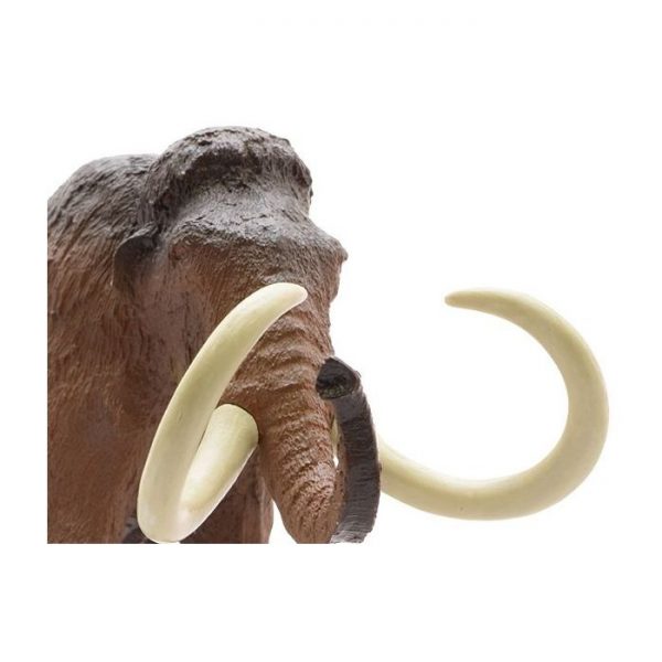 Woolly Mammoth Soft Model
