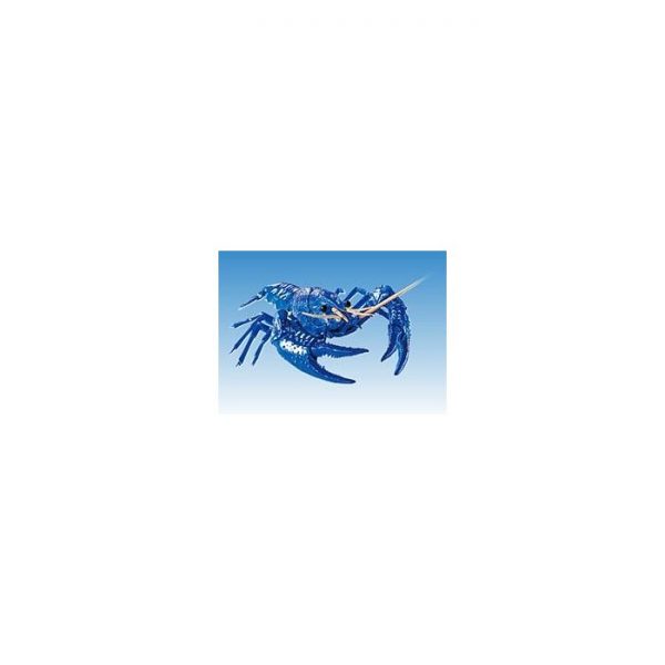 Creature Arc Procambarus Clarkii / Louisiana Crawfish