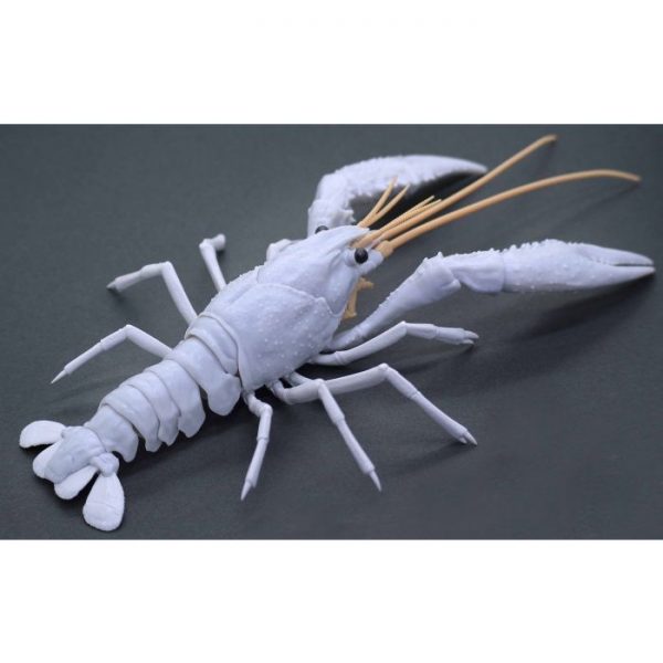 Creature Arc Procambarus Clarkii / Louisiana Crawfish