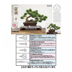 1/12 The Bonsai Plastic Model Kit -One- w/Photo-Etched Branch Saw