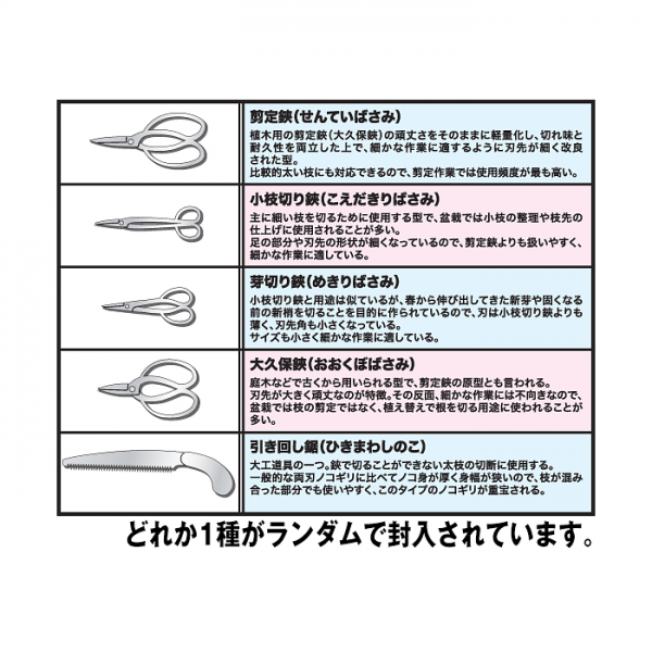 1/12 The Bonsai Plastic Model Kit -Two- w/Photo-Etched Scissors