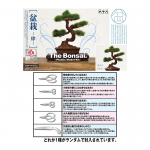1/12 The Bonsai Plastic Model Kit -Four- w/Photo-Etched Scissors